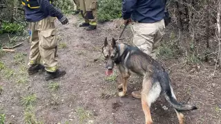 Continúa llegando ayuda mexicana a Texas tras inundaciones que devastaron  el estado  