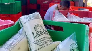 Productores y queserías: el equipo que alimenta a Campeche