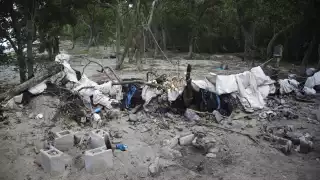 Pescadores de pepino de mar destruyen flora y fauna de la costa, en Dzilam de Bravo