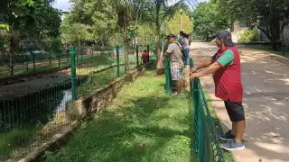 Zoológico La Reina de Tizimín abriría en diciembre tras su clausura por la Profepa