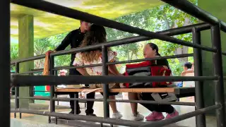 Turista de Monterrey sufre golpe de calor en el Zoológico Centenario de Mérida