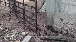 Desmantelan granja de pavos y gallinas en Sahcabchén, Calkiní; exigen justicia