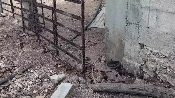 Tragedia rural: les roban todos sus animales y matan aves en su emprendimiento Tragedia rural: les roban todos sus animales y matan aves en su emprendimiento