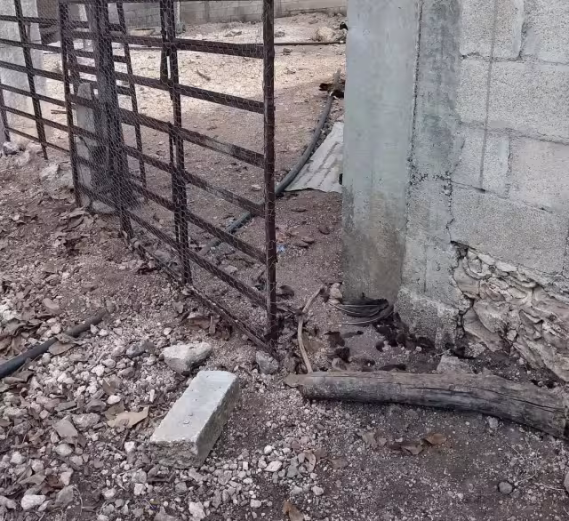 Tragedia rural: les roban todos sus animales y matan aves en su emprendimiento