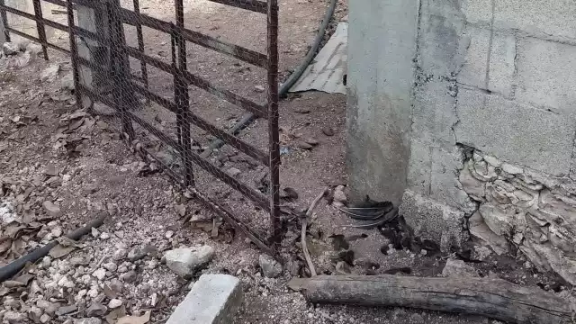 Tragedia rural: les roban todos sus animales y matan aves en su emprendimiento