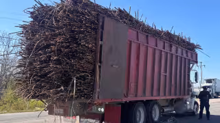 Camioneta provoca choque con camión cañero en Seybaplaya