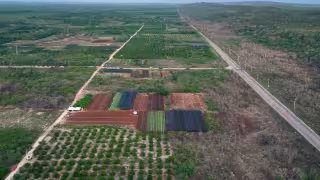 Más de 25 mil productores reciben apoyos del Gobierno de Yucatán; destinan 639 mdp al campo