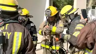 Bomberos de Cozumel salvan a gatito de un incendio en la colonia Encanto 2