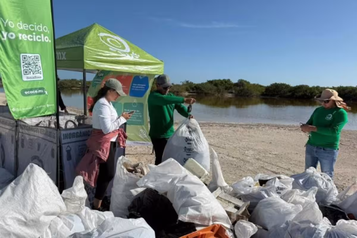 En un año, se recolectaron 33 toneladas de basura en las playas de ...