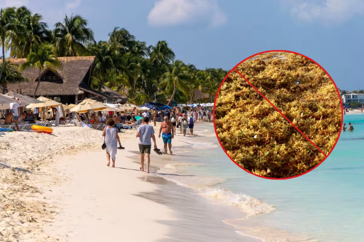 Estas son las mejores playas de Quintana Roo sin sargazo e ideales para ...