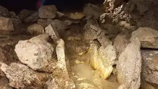 Durante una exploración, activistas hallaron restos de fauna y trampas de tepexcuintle