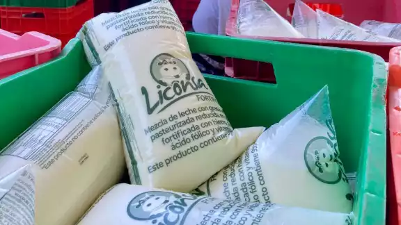 Productores y queserías: el equipo que alimenta a Campeche Productores y queserías: el equipo que alimenta a Campeche