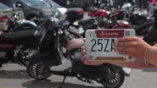 Yucatecos acuden a los módulos para llevar a cabo el trámite del canje de matrículas