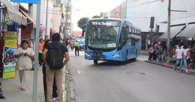A pesar de los retos que enfrenta, el transporte urbano concluye el 2025 con 15 nuevas rutas