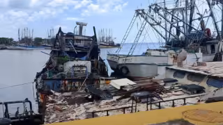 Captura de camarón cae 55% y pescadores denuncian exceso de burocracia