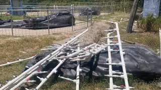 36 tinas pendientes mantienen crisis en Península de Atasta