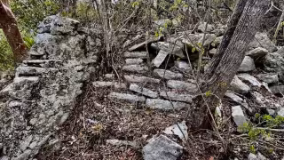 Activistas solicitaron estudios a fondo para determinar las condiciones ambientales y arqueológicas de Punta Venado.