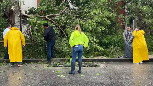 El Ayuntamiento se mantiene a cargo de las brigadas