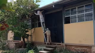 Enjambre de abejas provoca pánico en secundaria de Tenabo.