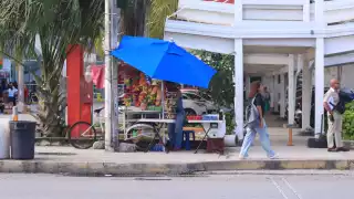 La mayoría de los casos de desnutrición se debe a la pobreza, al no poder adquirir alimentos por problemas económicos