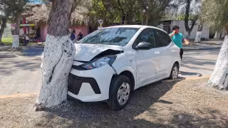 Un conductor distraído impactó su Hyundai blanco contra un árbol en el camellón central de la avenida Los Pinos, en la colonia Playa Norte