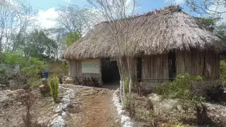 Amantes de lo ajeno vacían la unidad citrícola Jool Luum de la escuela agroecológica Yiits Ka’an