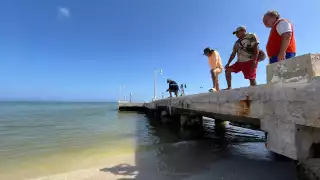 Crisis por marea roja en Sisal: Pescadores temen rezago económico de meses 