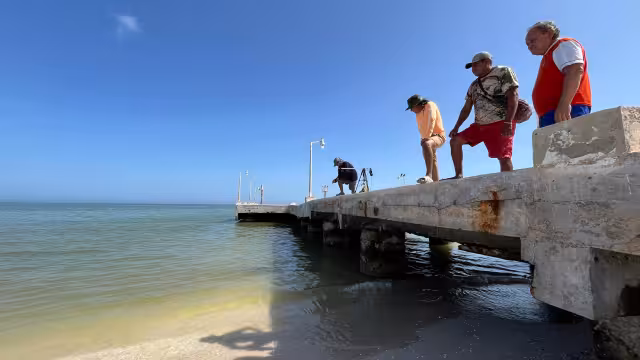 En el puerto se logró constatar la presencia de peces muertos o en agonía, el cambio de la tonalidad del mar, así como una escasa afluencia turística