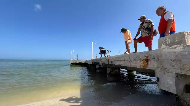 En el puerto se logró constatar la presencia de peces muertos o en agonía, el cambio de la tonalidad del mar, así como una escasa afluencia turística