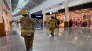 Plaza Las Américas bajo vigilancia por enjambre de abejas