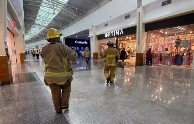 Caos en Cancún: 50 personas afectadas por ataque de abejas
