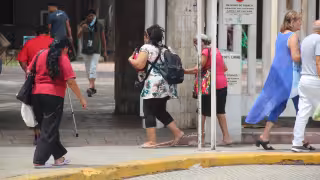 Dengue alcanza su mayor repunte semanal del 2026 en Yucatán, con cinco casos confirmados y 91 personas bajo estudio
