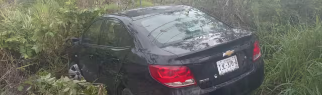 El conductor terminó entre la maleza