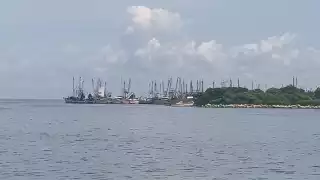 Con incertidumbre iniciará captura de camarón en Campeche 