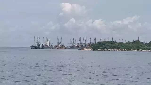 Incertidumbre previa al inicio de la temporada de captura de camarón