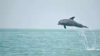 Cajún Uc confía en resultados positivos del plan en 2026