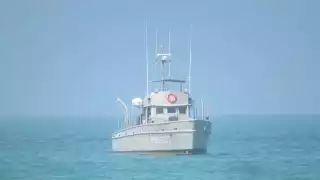 Pescadores furtivos depredan al mero, pulpo y caracol en Dzilam de Bravo