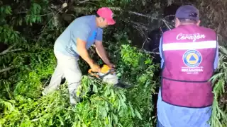 Protección Civil despeja carretera División del Norte-Haro tras caída de árboles