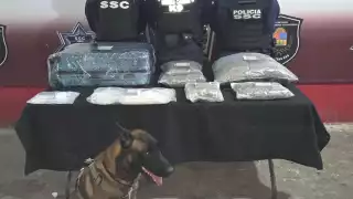 Fue en la zona VIP en donde se realizó el hallazgo de equipaje abandonado