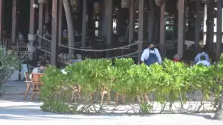 Restauranteros de Progreso proyectan un inicio de 2026 con “altas y bajas” en las ventas