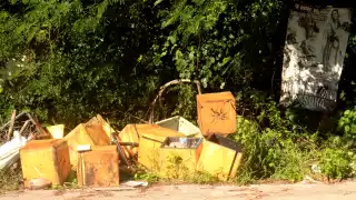 Vecinos acusan a Servicios Públicos y las Patrullas Verdes de Cancún de no cumplir con sus funciones