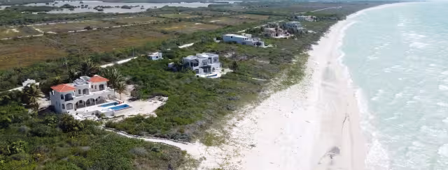 Desarrollos inmobiliarios como Grupo Inverco han deforestado hectáreas de humedales en la costa