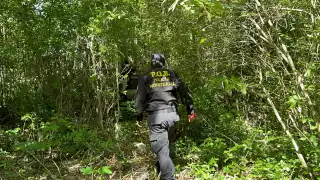 Zona Maya de Quintana Roo suma 42 personas desaparecidas durante 2024