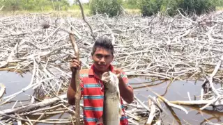 El pescado es por tradición uno de los alimentos más consumidos, lo que influye bastante en el gasto de las familias de la región. (