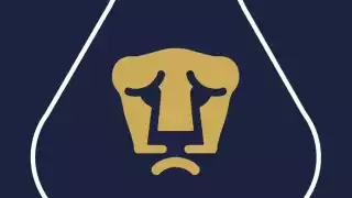 Los felinos recibieron doble golpe.