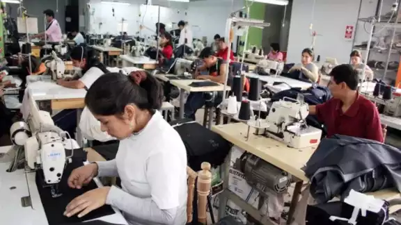 En 2024, el sector terciario acaparó uno de cada cinco trabajos formales que se crearon, revela el IMSS