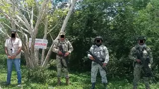 Selva campechana protegida: clausuran zonas por desmonte ilegal en Hopelchén