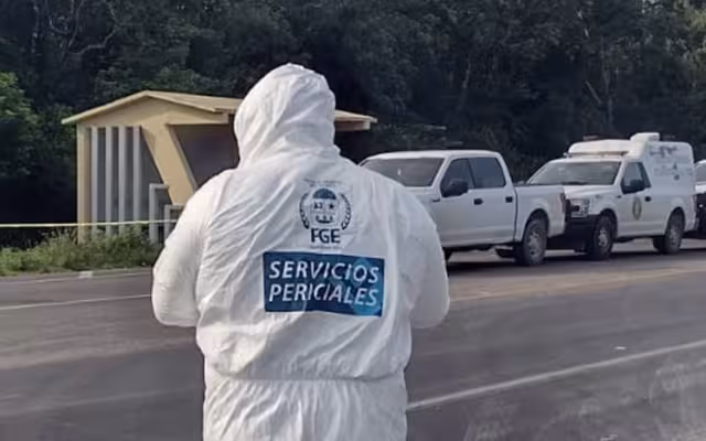 Encuentran dos cuerpos en descomposición en Quintana Roo