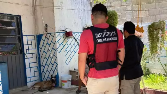 La FGE Yucatán ya se encuentra al tanto del caso de maltrato animal en Motul