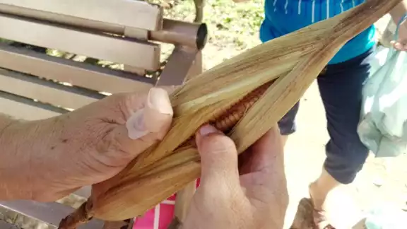 Pobladores buscan consumir elote enterrado previo al inicio de la temporada de los fi eles difuntos
